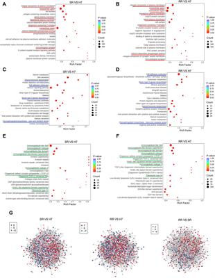 Protein and metabolic profiles of tyrosine kinase inhibitors co-resistant liver cancer cells